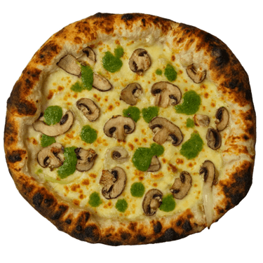 Hongos